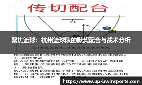 聚焦篮球：杭州篮球队的默契配合与战术分析